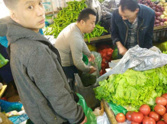 十年堅持，新鮮直達——哈爾濱柱子精準蔬菜配送，守護您的餐桌每一天